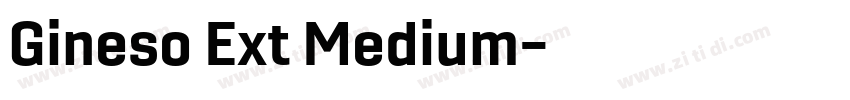 Gineso Ext Medium字体转换
